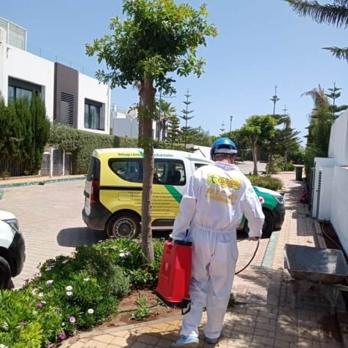 societe-de-dératisation-casablanca